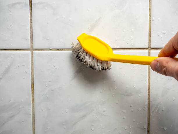 Best Mold Removal Process  in Bort, GA