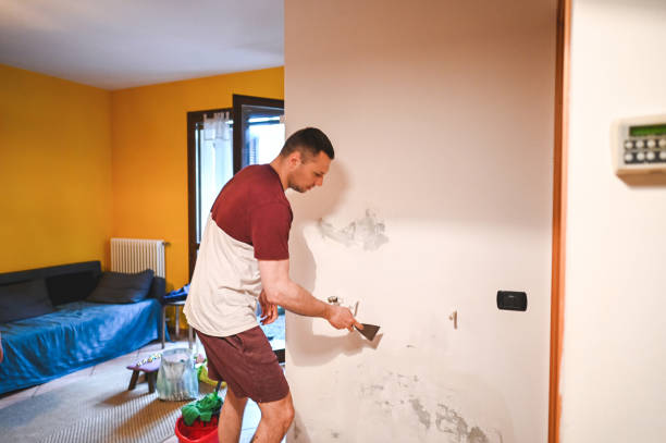 Best Black Mold Removal  in Bort, GA